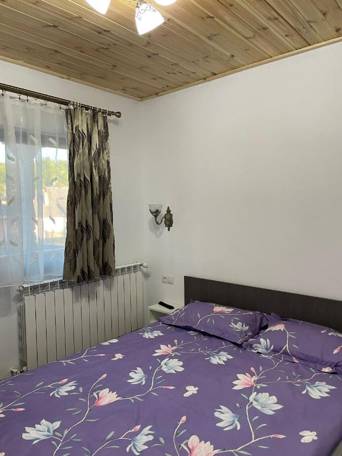 Casa De Langa Padure Hotel Sighetu Marmaţiei Eksteriør billede
