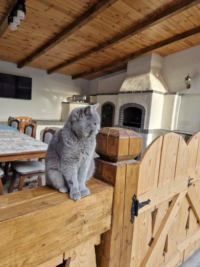 Casa De Langa Padure Hotel Sighetu Marmaţiei Eksteriør billede